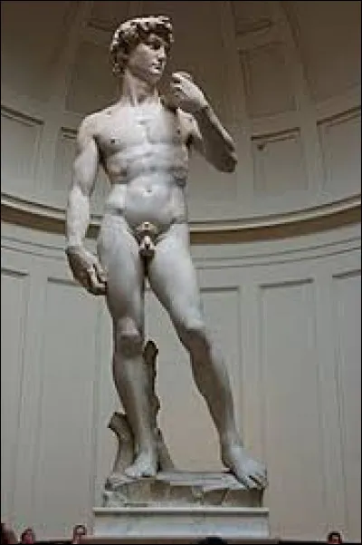 Quel sculpteur, mais aussi peintre est l'auteur du David ?