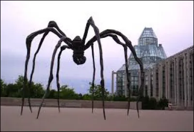 Quelle bébête Louise Bourgeois a-t-elle représentée ?