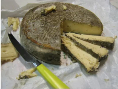 Quel est ce fromage de lait de vache, &agrave; p&acirc;te press&eacute;e non cuite avec une cro&ucirc;te &agrave; moisissures, une sp&eacute;cialit&eacute; d'Auvergne ?