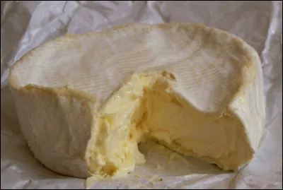Quel est ce fromage triple-cr&egrave;me, doux, jeune, frais, r&eacute;alis&eacute; &agrave; partir de lait ce vache cru ou pasteuris&eacute;, une sp&eacute;cialit&eacute; de Bourgogne ?