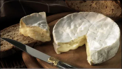 Quel est ce tr&egrave;s petit fromage au lait cru de ch&egrave;vre, &agrave; p&acirc;te molle et &agrave; cro&ucirc;te naturelle, une sp&eacute;cialit&eacute; du Languedoc ?