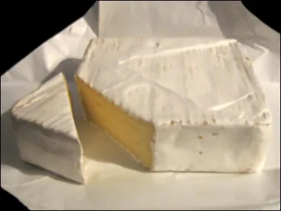 Quel est ce fromage &agrave; base de lait de vache, &agrave; p&acirc;te molle, &agrave; cro&ucirc;te fleurie o&ugrave; lav&eacute;e, une sp&eacute;cialit&eacute; de Lorraine ?