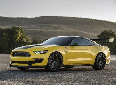En combien d'exemplaires cette Mustang Old Yeller a-t-elle été produite ?