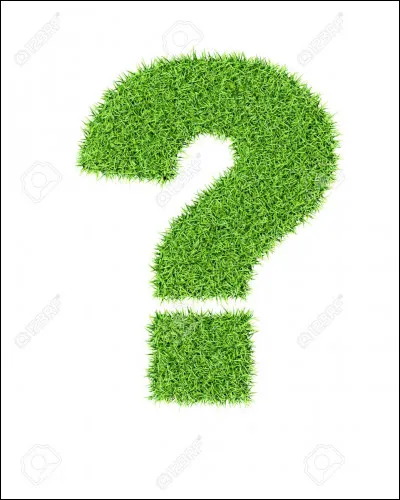 À quoi passes-tu le plus clair de ton temps ?