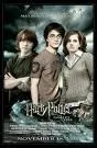 Quels sont les examens que passent Harry, Ron et Hermione dans ce cinquime livre ?