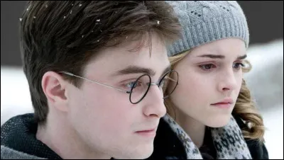 Qui préfères-tu entre Harry et Hermione ?