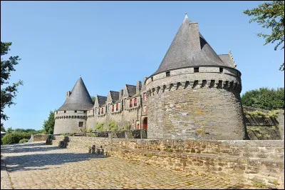 Nous apercevons ici le château des Rohan. Dans quelle ville du département du Morbihan (56) se situe-t-il ?