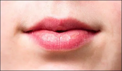 Comment dit-on "la bouche" en allemand ?