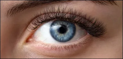 Comment dit-on "les yeux" en allemand ?