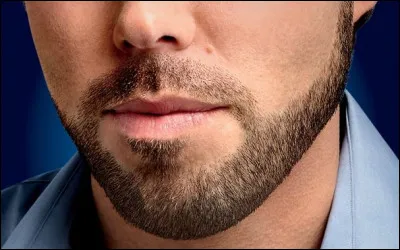 Comment dit-on "la barbe" en allemand ?