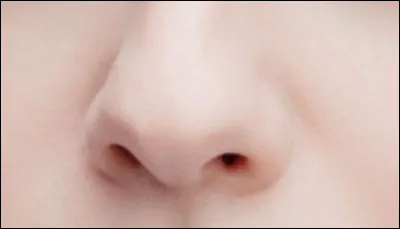 Comment dit-on "le nez" en allemand ?