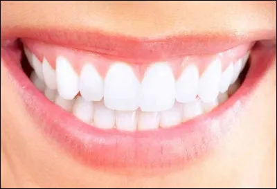 Comment dit-on "les dents" en allemand ?