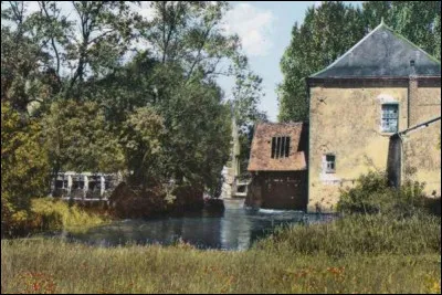 Cher comme Loir-et-Cher : sa famille habite dans le Loir-et-Cher, ces gens-là ne font pas de manière : qui est ce chanteur ?