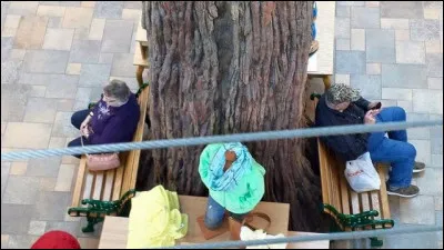 Que fait donc ce couple depuis plus d'une demie-heure ?