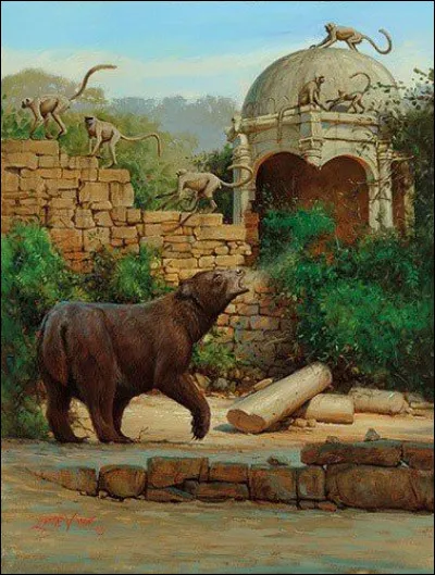 Qui a cr&eacute;&eacute; l'ours Baloo ?