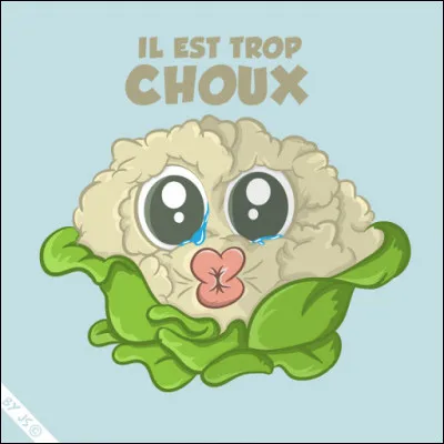 Chou comme chou-fleur : à quelle famille appartient-il ?