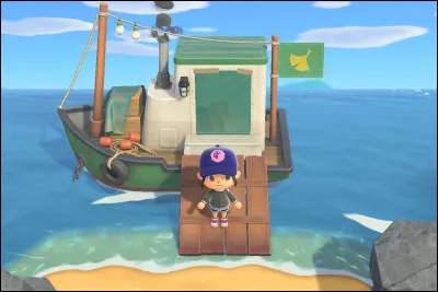 Combien coûte le remède que vend Méli ?