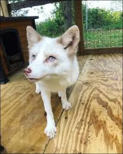 Et où l'ont-ils trouvé ?