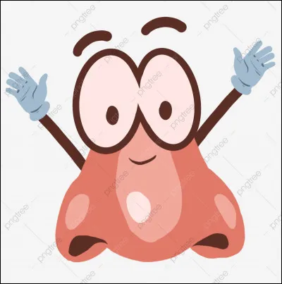 Né comme nez : le nez de qui avait la particularité de s'allonger en certaines circonstances .