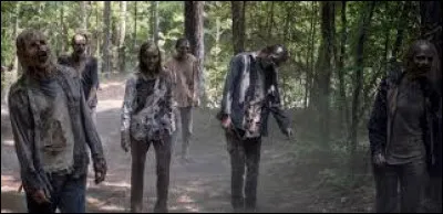 Dans "Walking Dead", comment les personnages appellent-ils principalement les zombies ?