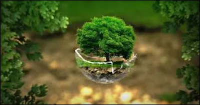 Aimes-tu l'écologie ?