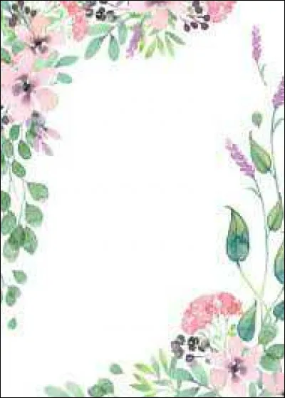 Si tu étais dans un magasin, quel serait ton prix ?