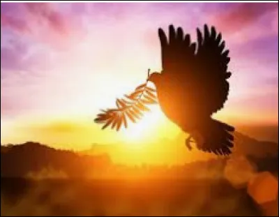 Connais-tu le symbole de la paix ?