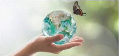 D'après toi, es-tu pacifique ?