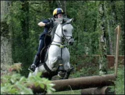 Quand on fait du cross, on met ---- au cheval.