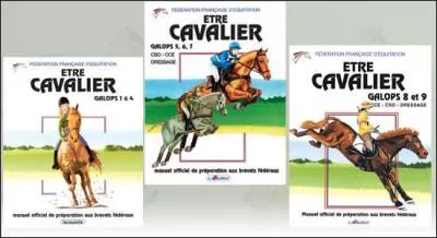 Quand on fait des études pour être prof ou éleveur... (tout ce qui concerne le cheval), comment s'appelle l'orientation ?