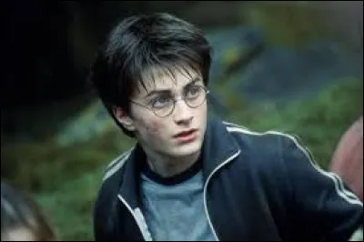 Daniel Radcliffe a incarné Harry Potter dans l'intégralité de la saga cinématographique.
