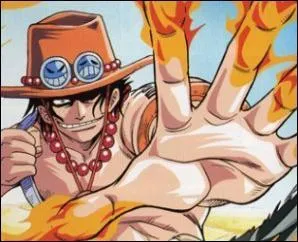 Quel est le lien entre Ace et Luffy ?