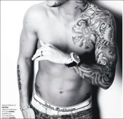 A qui appartient ce torse tatou ?