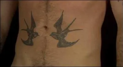 A qu appartient ce ventre tatou ?