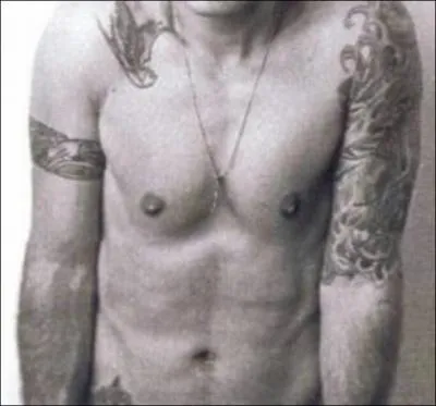 A qui appartient ce torse tatou ?