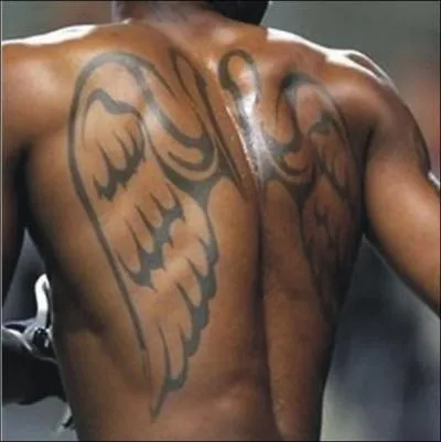 A qui appartient ce dos tatou ?