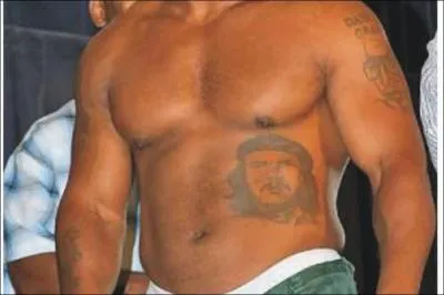 A qui appartient ce torse tatou ?