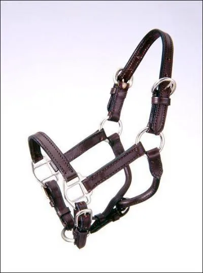 Comment s'appelle cet objet ?