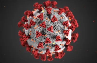 Que veut dire le mot latin « coronavirus » ?