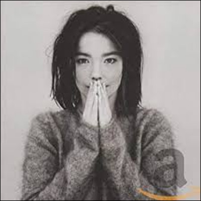 Quelle est la profession de Björk ?