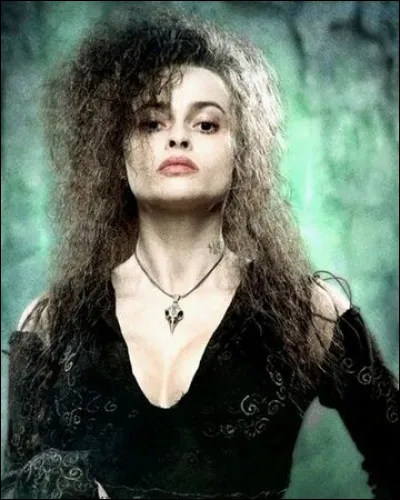 Quelle est ta famille favorite ?