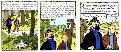 Récréation > Au tout début des "Bijoux...", Tintin fait cette remarque pestil... heu ! pertinente au capitaine. Pourquoi ?