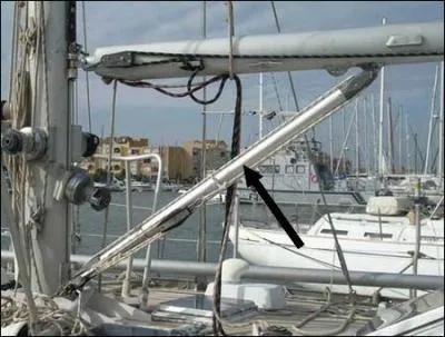 Sur le dessin, ce qui est indiqu par la flche est :