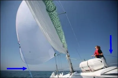 Le cordage bleu indiqu par les flches, c'est