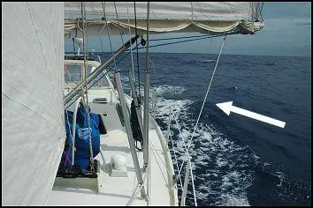 Ce bout indiqu par la flche blanche c'est