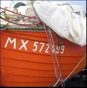 Une coque comme celle-ci est une coque