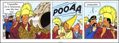 On voit que le capitaine n'est pas sans connaissances non plus ! Qu'évoque-t-il, avec cette histoire de trompette ?