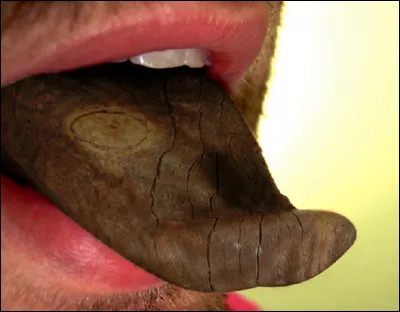 Qui utilise volontiers la langue de bois généralement ?