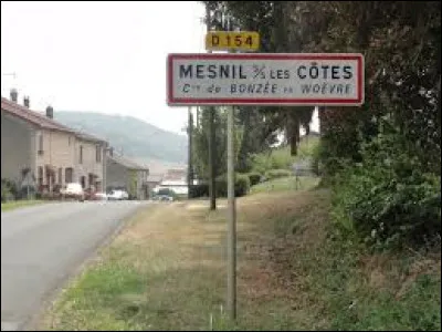 Ancienne commune de l'arrondissement de Verdun, Mesnil-sous-les-Côtes se situe dans le département ...