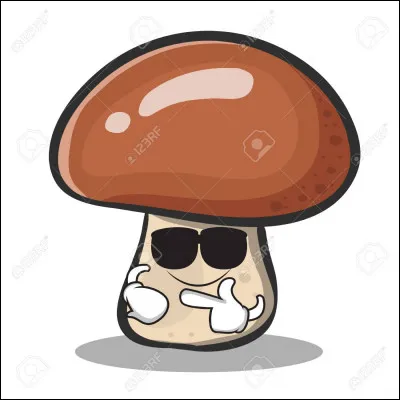 Me faudra-t-il des champignons pour la recette du lapin chasseur ?